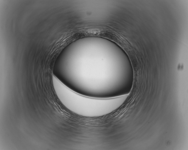 X0000090761394200707201044