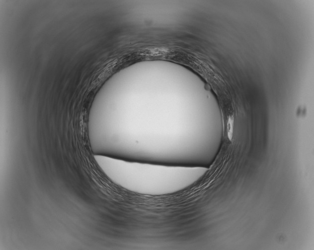 X0000090761395200707201044