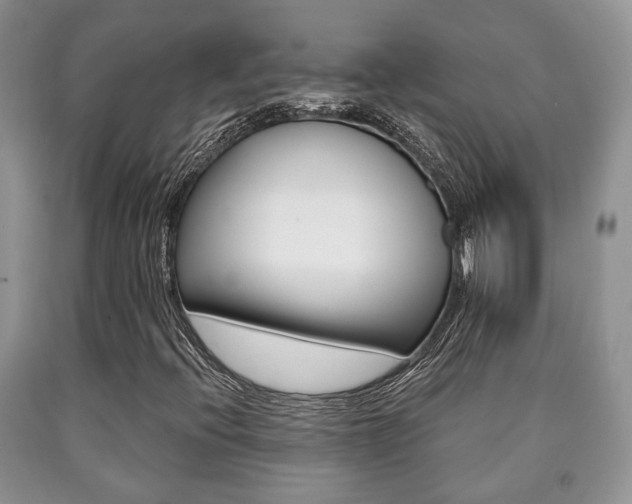 X0000090761396200707201044