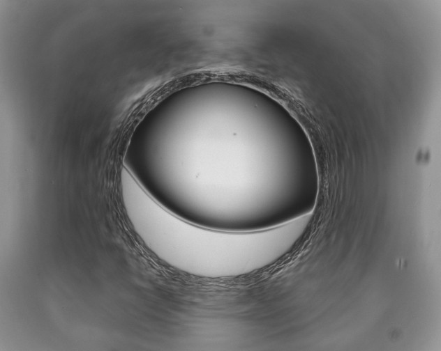 X0000090761398200707201044