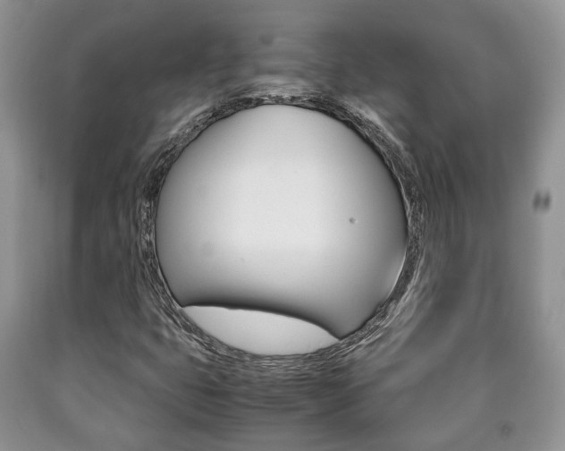 X0000090761399200707201044