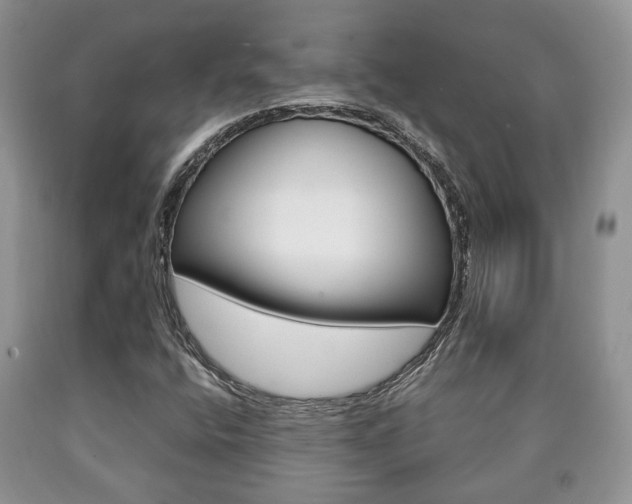 X0000090761400200707201044