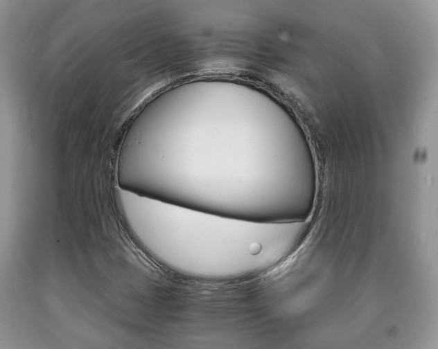 X0000090761401200707201044