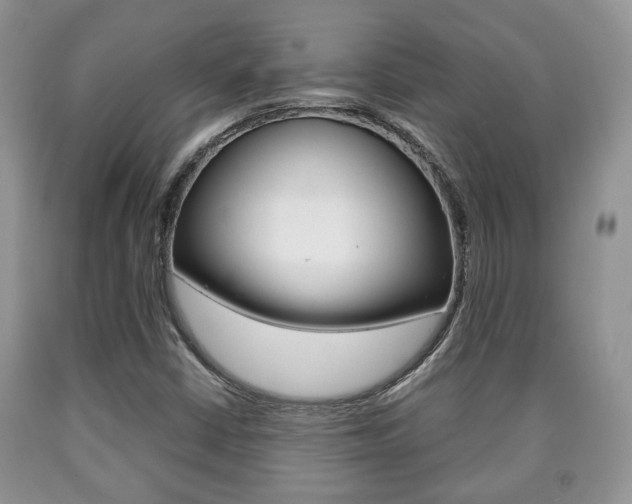 X0000090761402200707201044