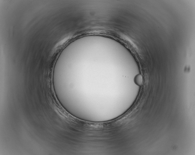 X0000090761403200707201044