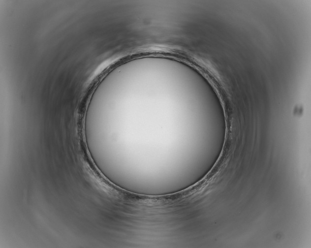 X0000090761404200707201044