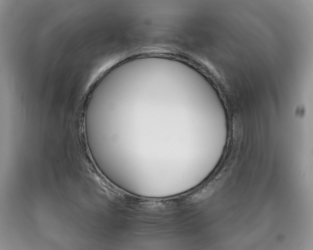 X0000090761405200707201044