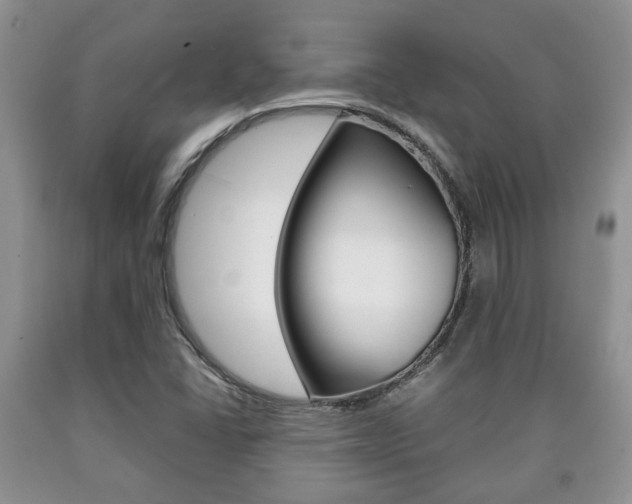 X0000090761406200707201044