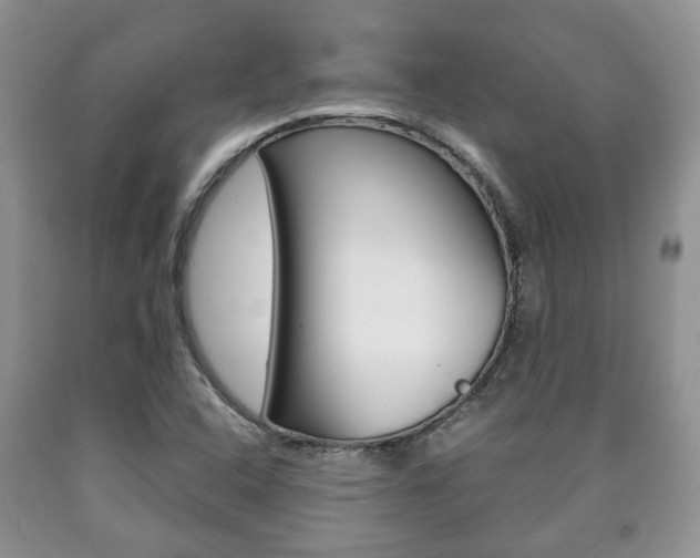 X0000090761408200707201044