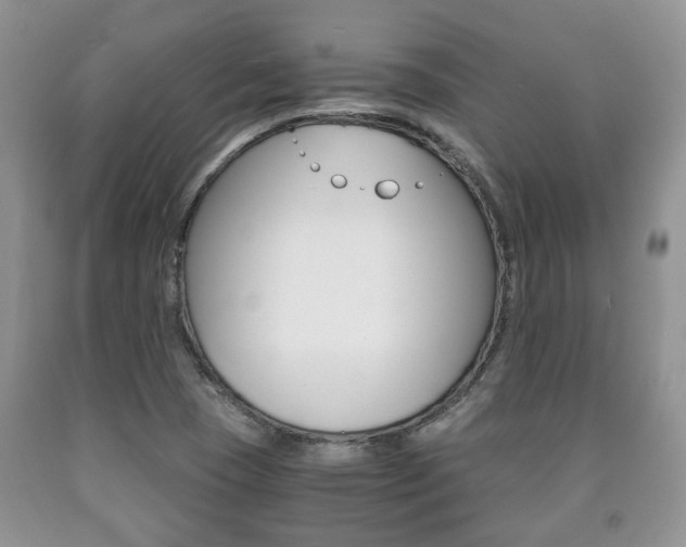 X0000090761409200707201044