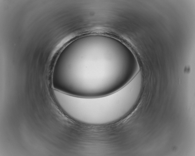 X0000090761410200707201044