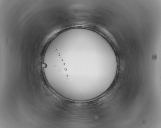 X0000090761411200707201044