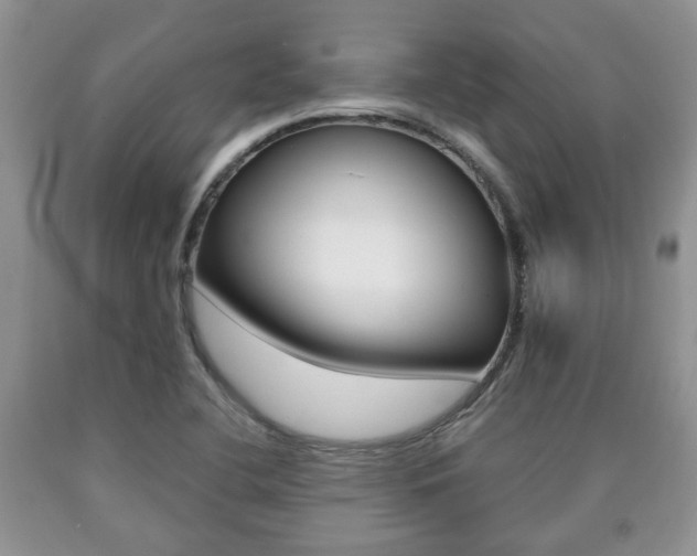X0000090761412200707201044
