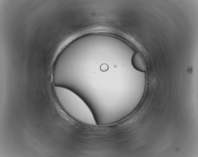 X0000090761413200707201044