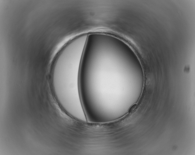 X0000090761414200707201044