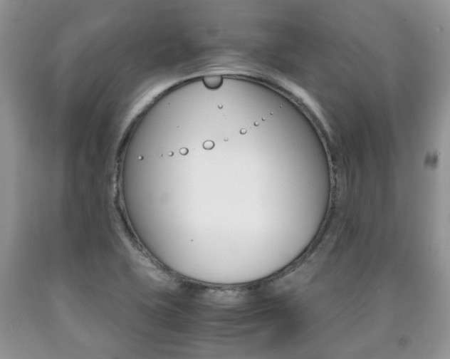 X0000090761415200707201044