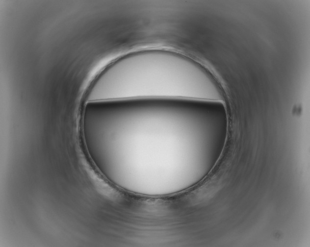 X0000090761416200707201044