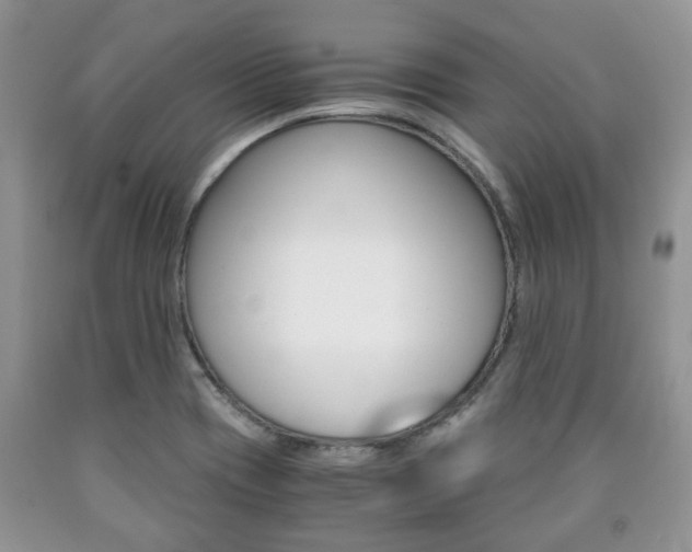 X0000090761417200707201044