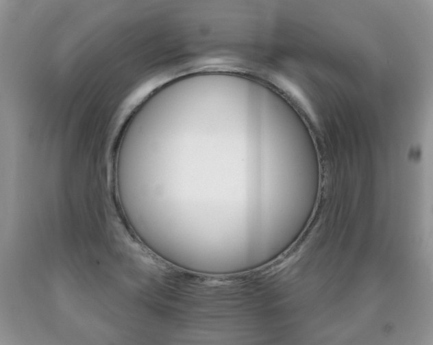 X0000090761419200707201044