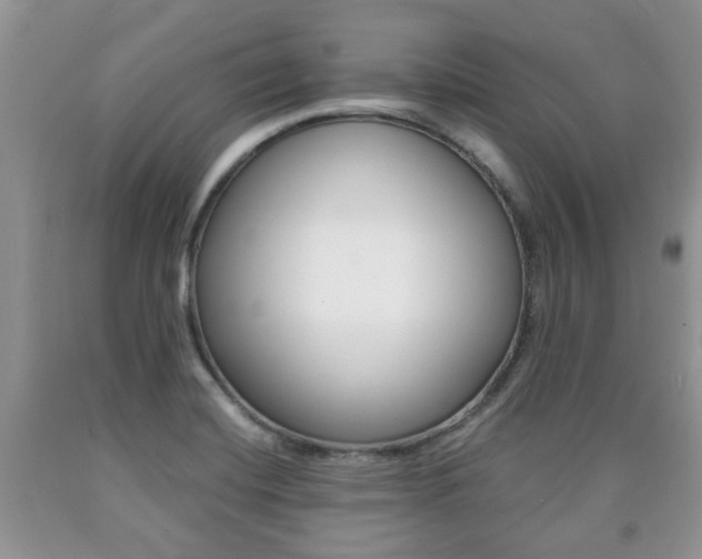 X0000090761420200707201044