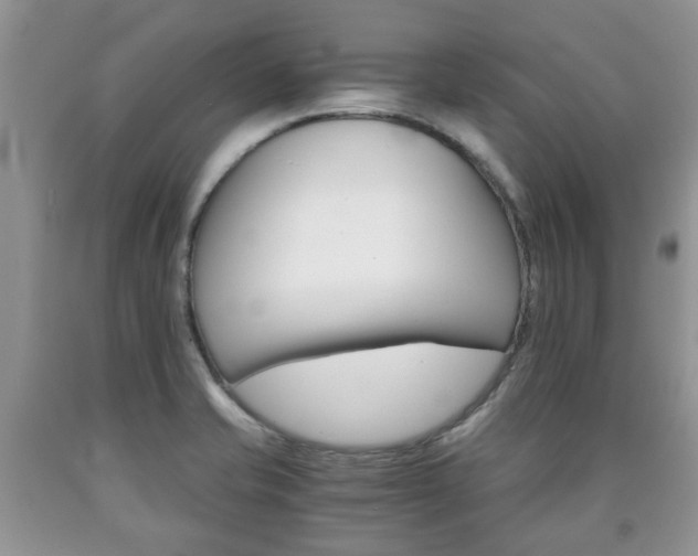 X0000090761421200707201044