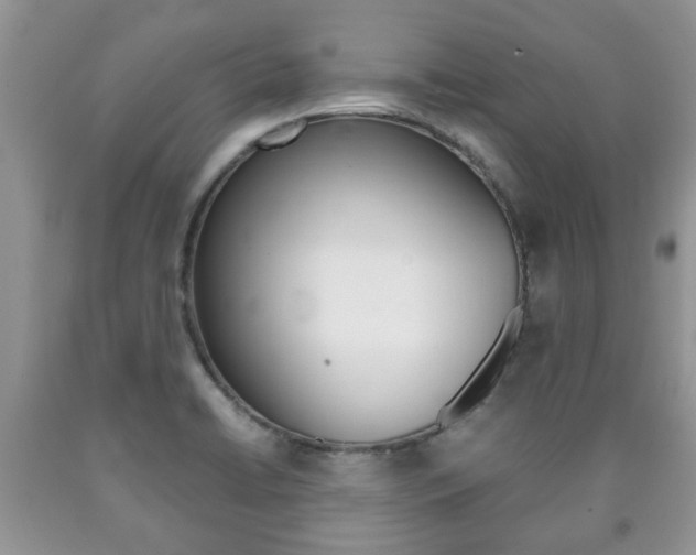 X0000090761422200707201044