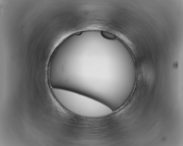 X0000090761423200707201044