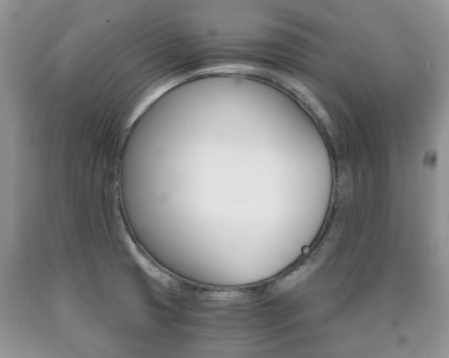 X0000090761425200707201044