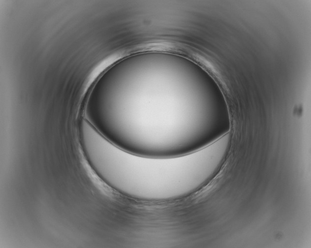X0000090761426200707201044