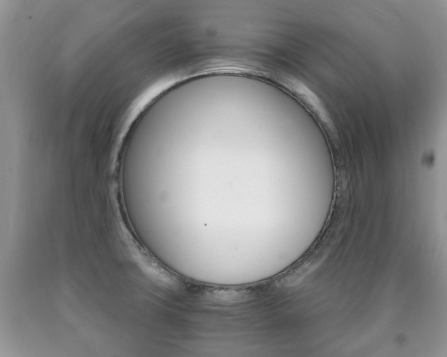 X0000090761427200707201044