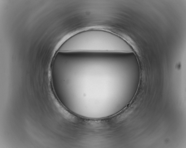 X0000090761428200707201044