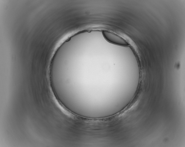 X0000090761429200707201044