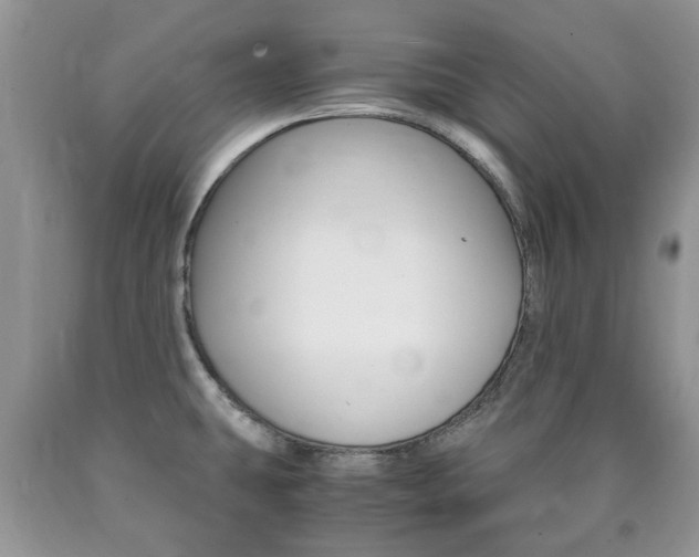 X0000090761431200707201044