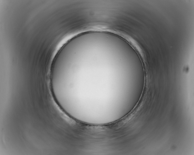 X0000090761432200707201044
