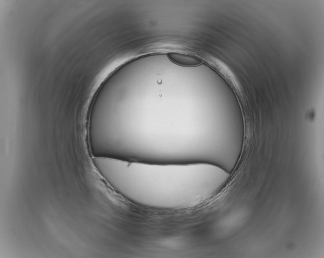 X0000090761435200707201044