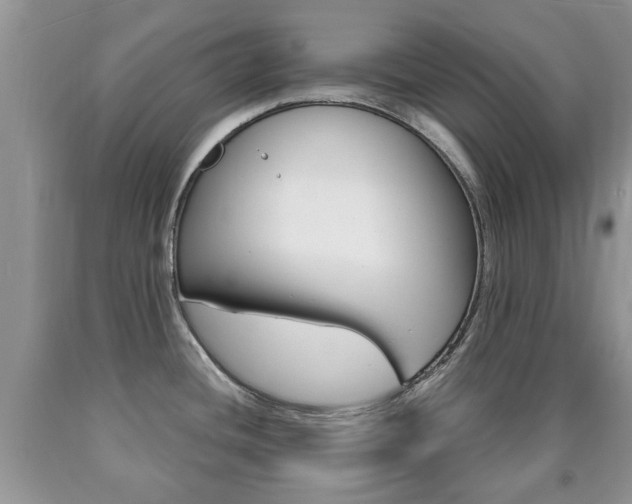X0000090761436200707201044