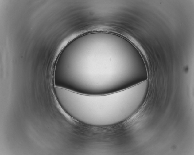 X0000090761437200707201044
