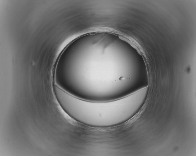 X0000090761438200707201044