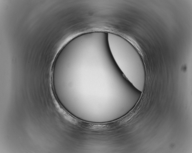 X0000090761439200707201044
