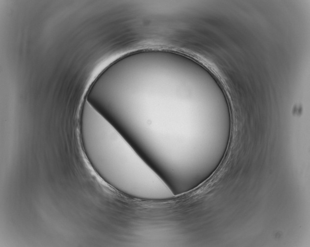 X0000090761440200707201044