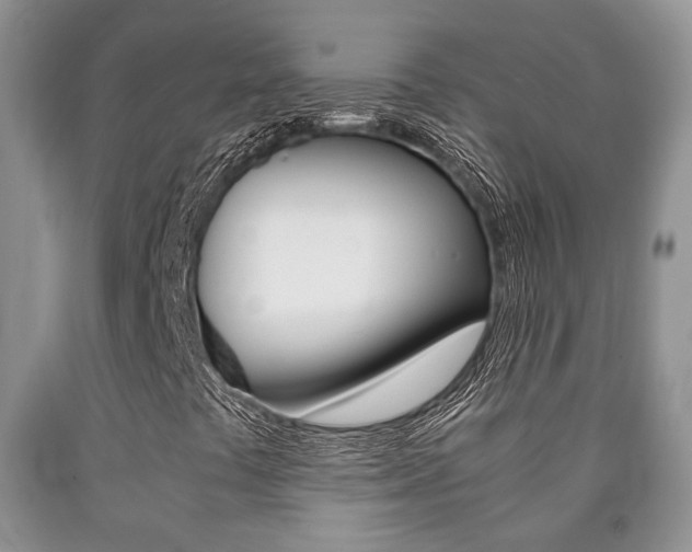 X0000090761441200707201044