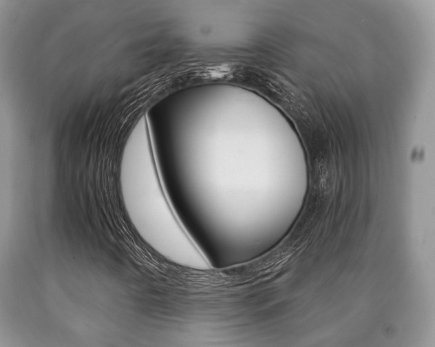 X0000090761442200707201044