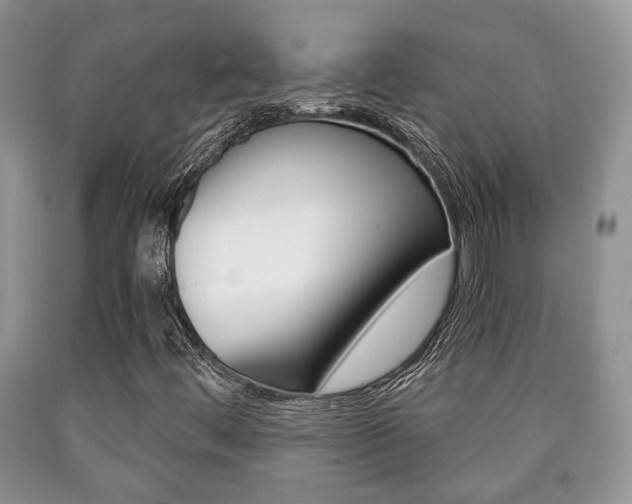 X0000090761444200707201044