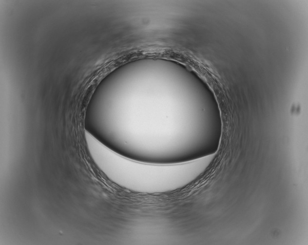 X0000090761445200707201044