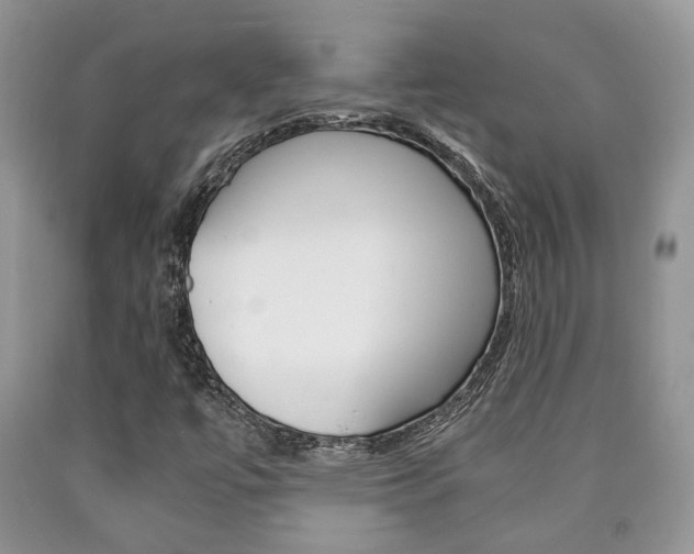 X0000090761447200707201044