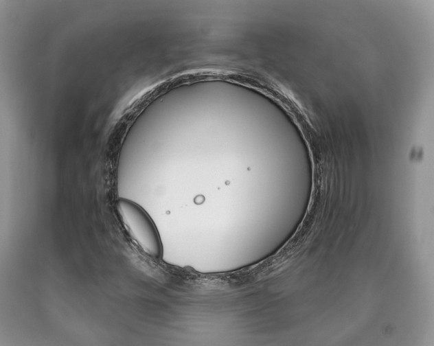 X0000090761448200707201044