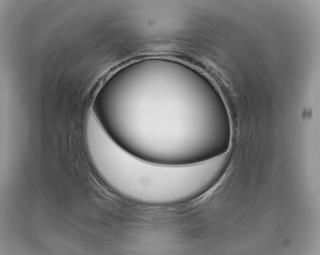 X0000090761449200707201044