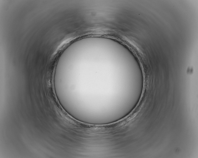 X0000090761451200707201044