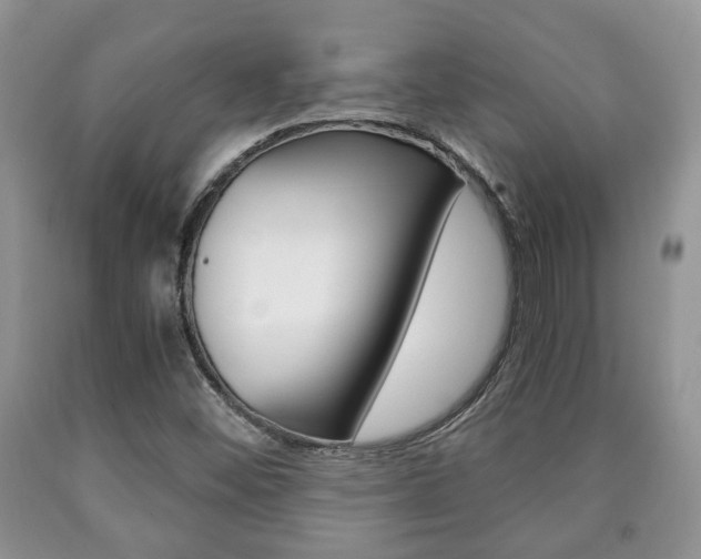 X0000090761452200707201044