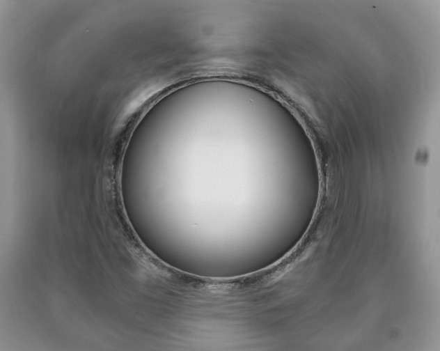 X0000090761453200707201044
